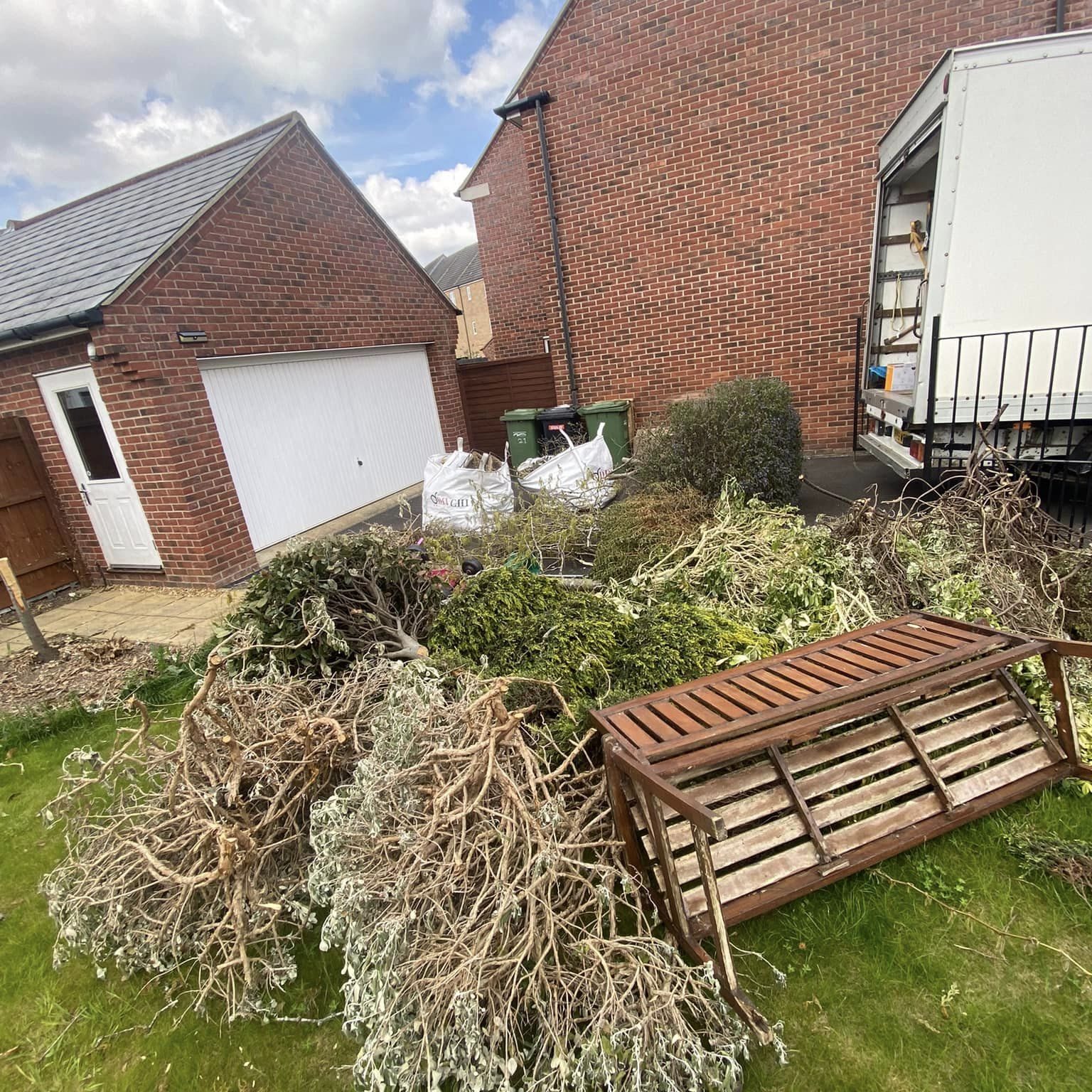 Cut down trees in garden