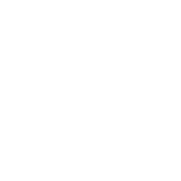 delivery-van